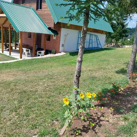 House In Forest Žabljak Extérieur photo