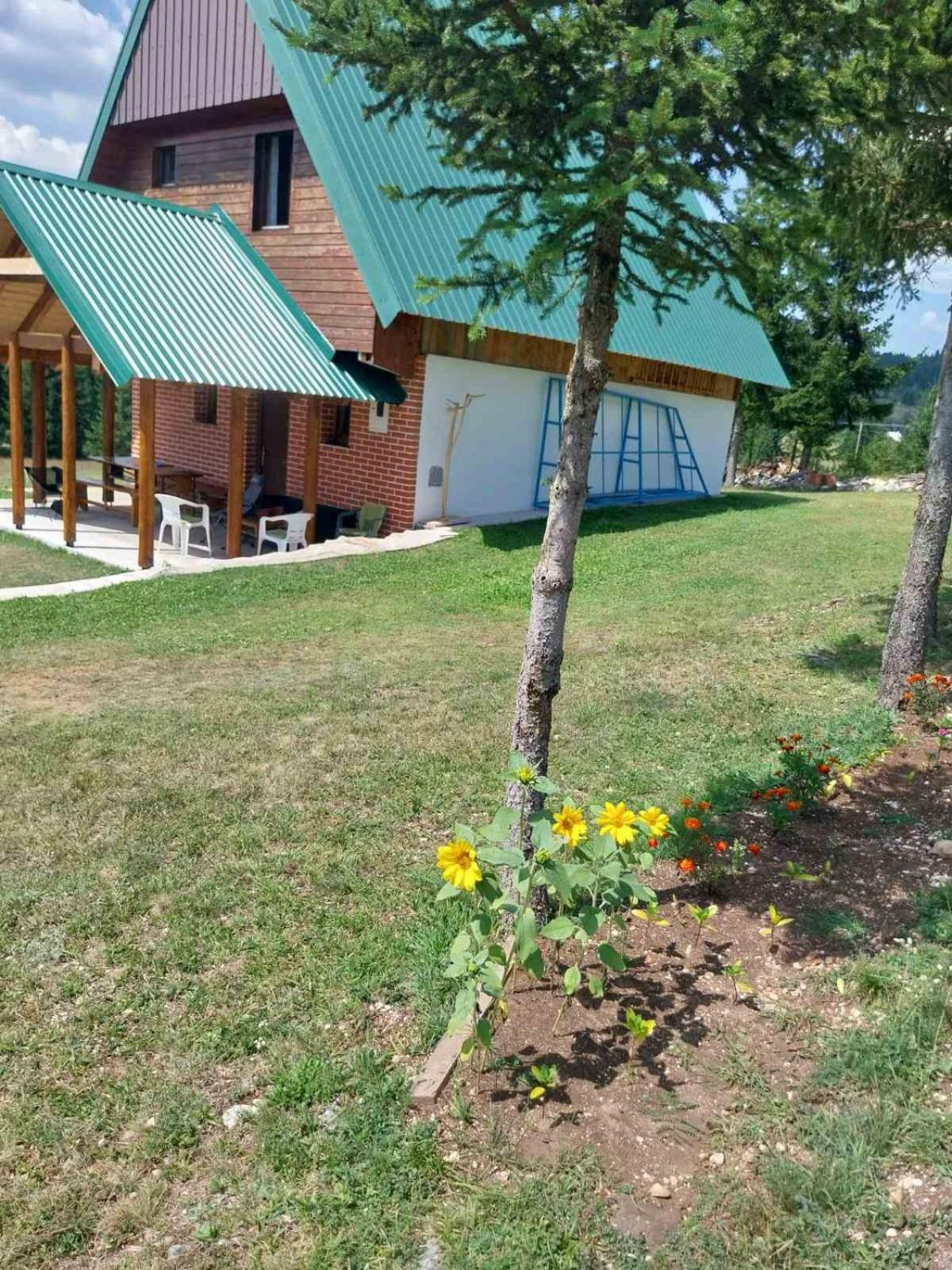 House In Forest Žabljak Extérieur photo