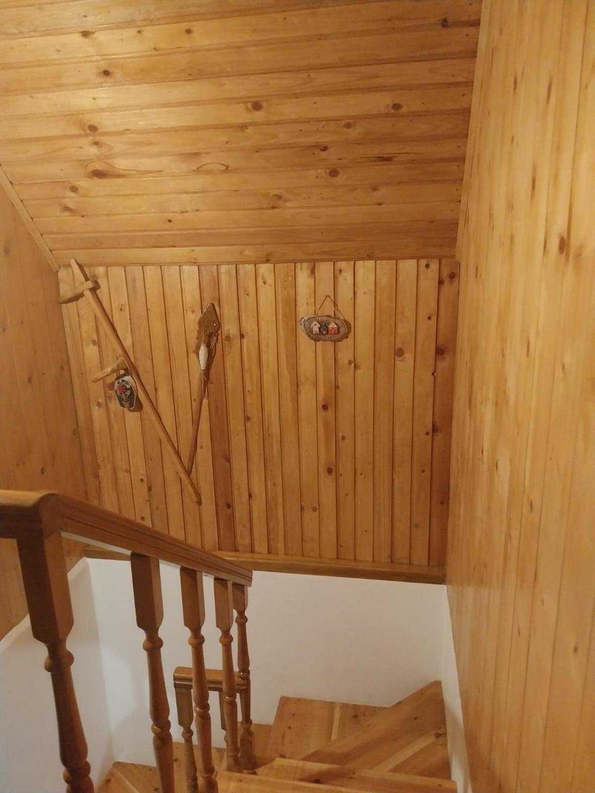House In Forest Žabljak Extérieur photo